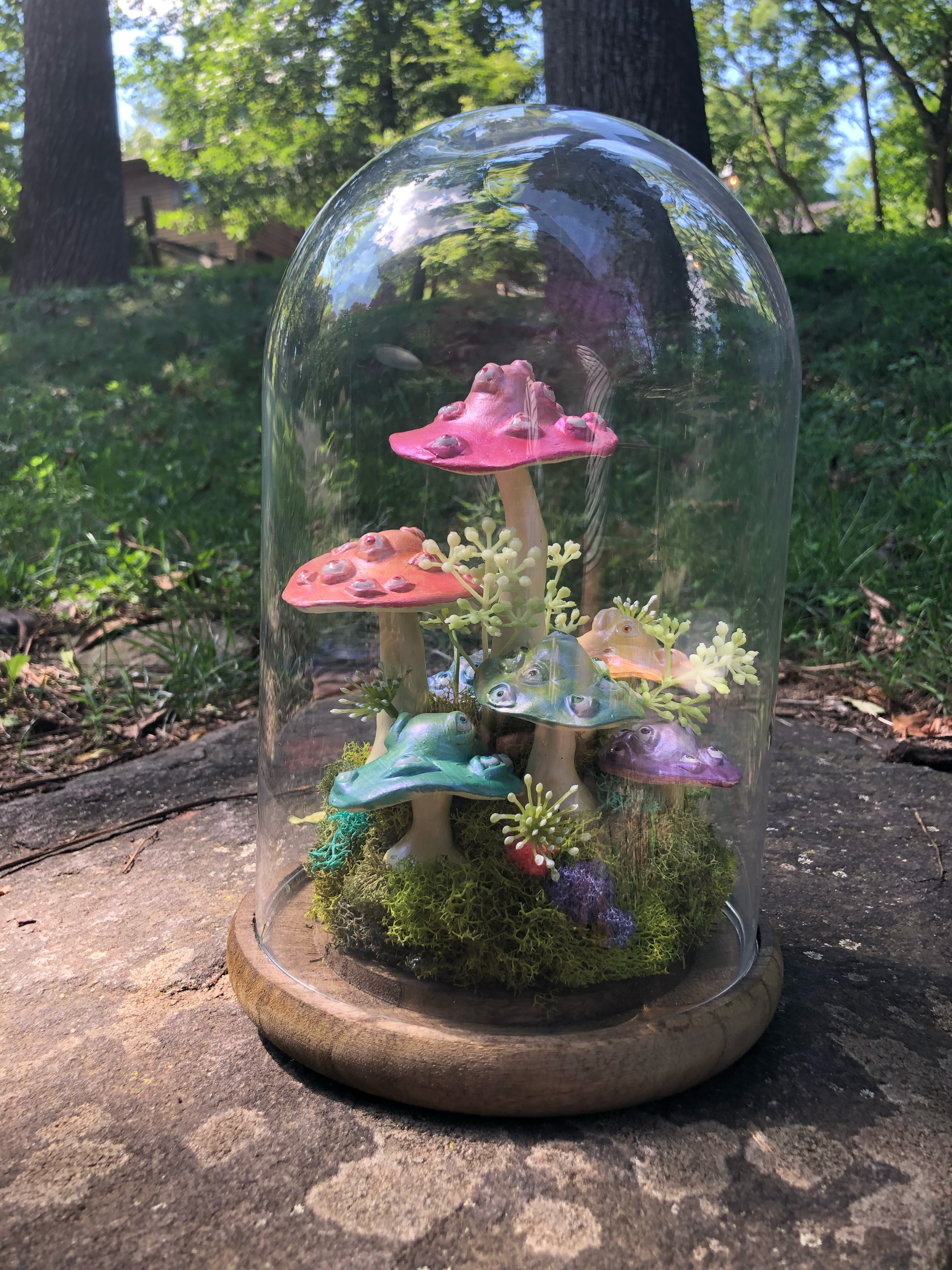 Amanīta Musciris (detail 2)