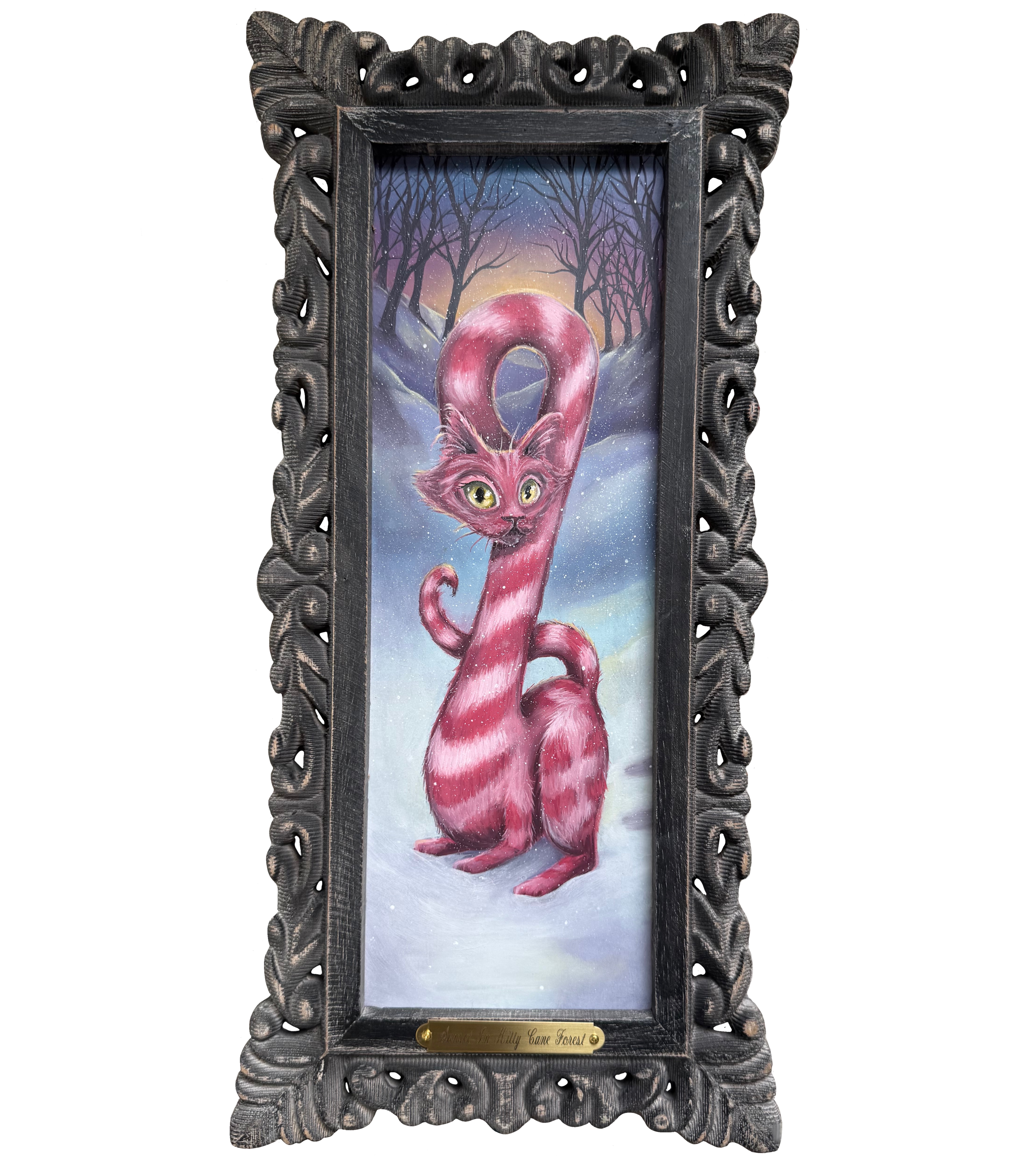 Sunset in Kitty Kane Forest